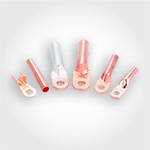 �Ӿ�����/������